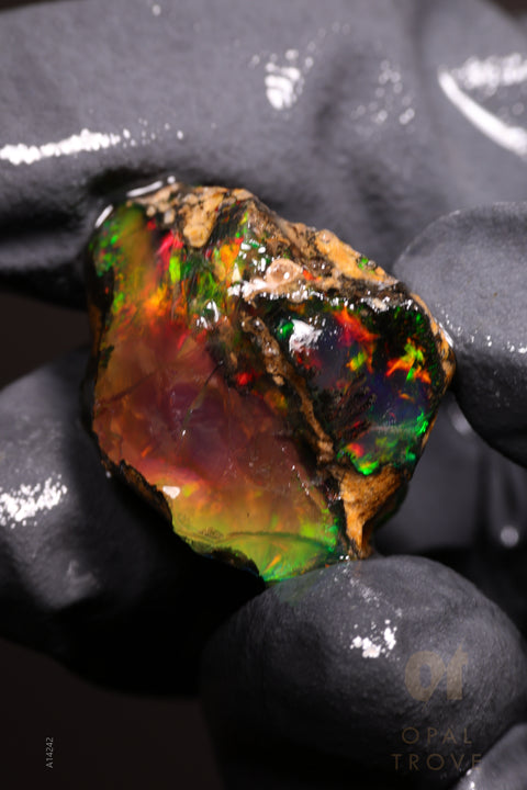 7.68g Rough Welo Ethiopian Specimen Opal