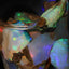 5.00g Chalk Opal Jar