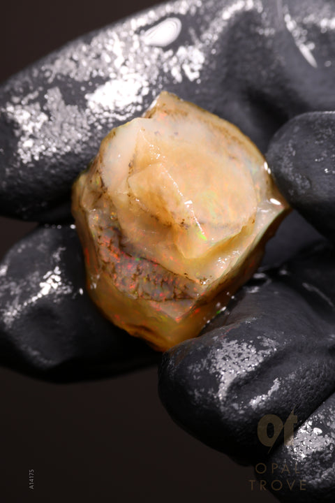6.78g Rough Welo Ethiopian Specimen Opal