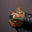 53.40g Rough Specimen