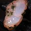 38.66g Rough Welo Ethiopian Specimen Opal