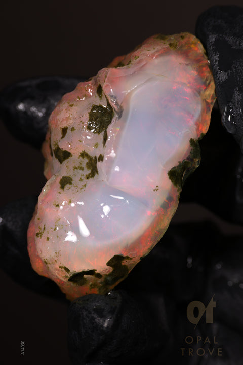 38.66g Rough Welo Ethiopian Specimen Opal