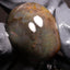 42.50ct Polished Ethiopian Specimen Welo Opal