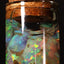5.00g Chalk Opal Jar