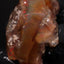 62.71g Rough Specimen