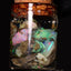 5.00g Rough Ethiopian Chalk Opal Jar