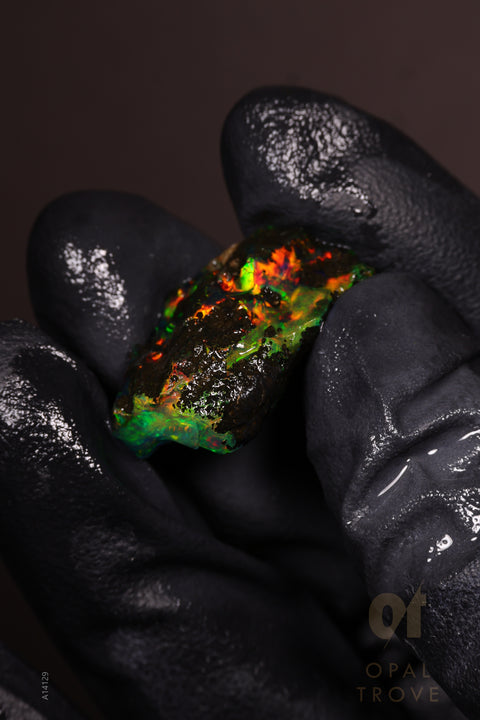 3.58g Rough Welo Ethiopian Specimen Opal