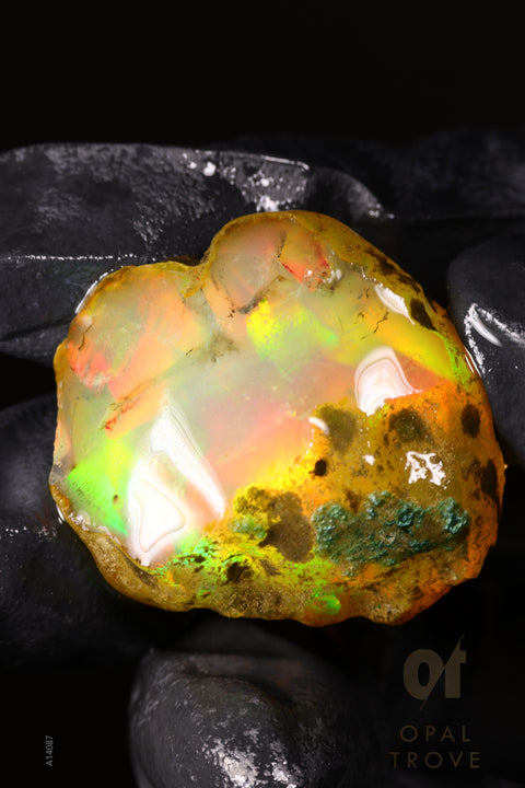 13.75g Rough Welo Ethiopian Specimen Opal