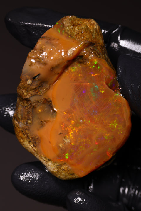 49.46 g Rough Specimen