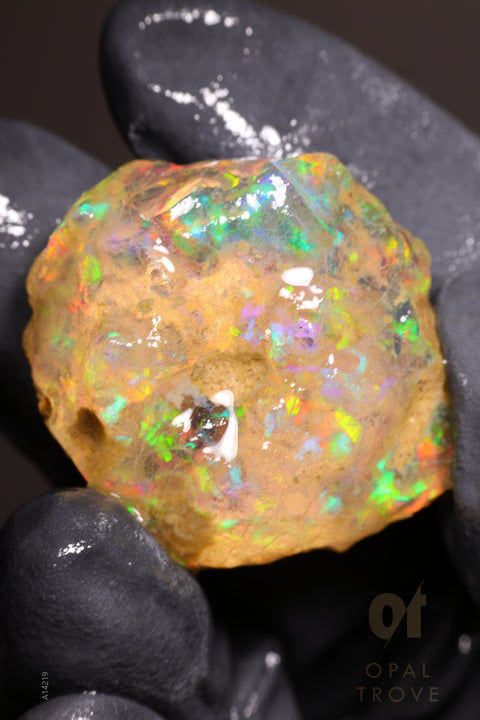 13.35g Rough Welo Ethiopian Specimen Opal