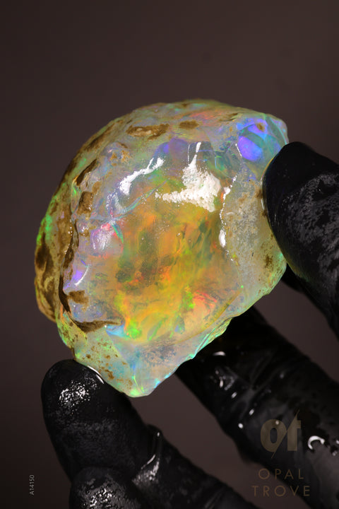 69.05g Rough Welo Ethiopian Specimen Opal