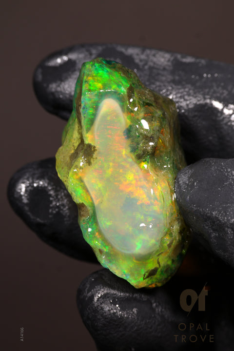 17.32g Rough Welo Ethiopian Specimen Opal