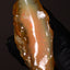 26.81g Rough Specimen