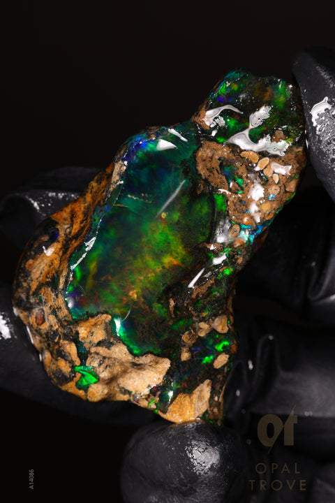 34.46g Rough Welo Ethiopian Specimen Opal