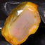 16.57g Rough Specimen