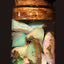 5.00g Chalk Opal Jar