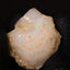 4.66g Rough Ethiopian Jewelry Grade Welo Opal