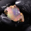 3.16g Rough Specimen