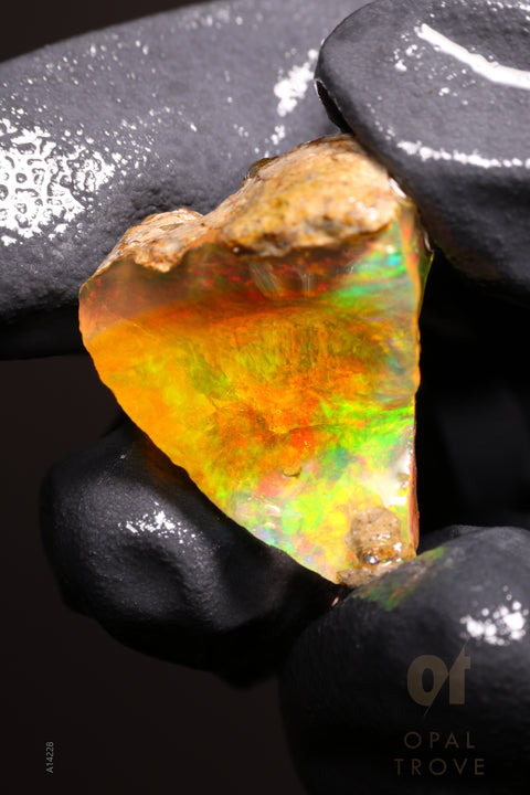 4.95g Rough Welo Ethiopian Specimen Opal