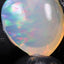 49.85ct Polished Ethiopian Specimen Welo Opal
