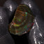 5.60g Rough Welo Ethiopian Specimen Opal