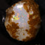 10.15g Rough Ethiopian Chalk Opal