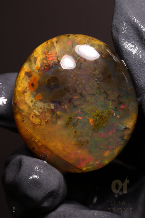 149.35ct Polished Ethiopian Specimen Welo Opal