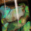 5.00g Chalk Opal