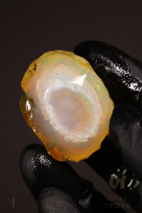 24.24g Rough Welo Ethiopian Specimen Opal