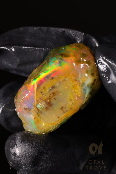 12.87g Rough Welo Ethiopian Specimen Opal
