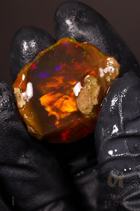 13.02g Rough Welo Ethiopian Specimen Opal