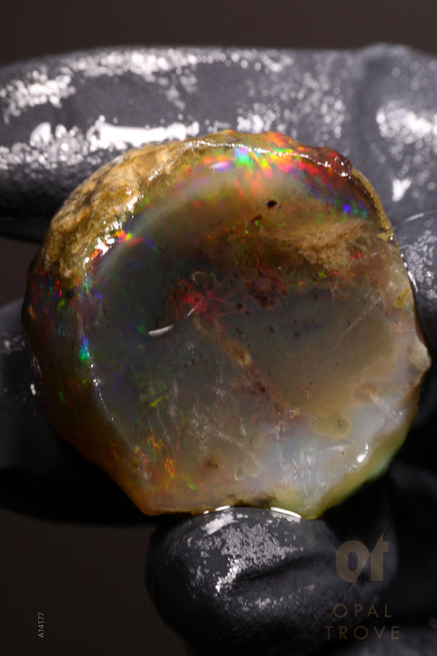 19.83g Rough Welo Ethiopian Specimen Opal