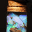 5.00g Chalk Opal Jar