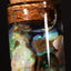 5.00g Chalk Opal Jar