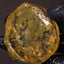 67.39g Rough Specimen