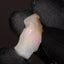 2.20g Rough Ethiopian Jewelry Grade Welo Opal