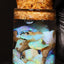 5.00g Chalk Opal Jar
