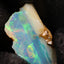 1.03g Rough Ethiopian Chalk Opal