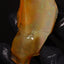 23.83g Rough Specimen
