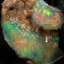 2.65g Chalk Opal