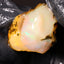 7.93g Rough Specimen