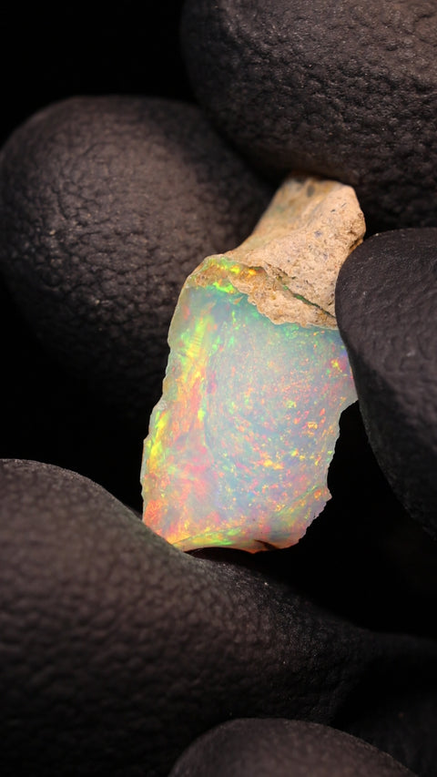 0.67g Rough Single