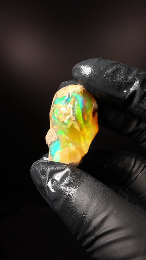 9.63g Rough Specimen Grade Opal