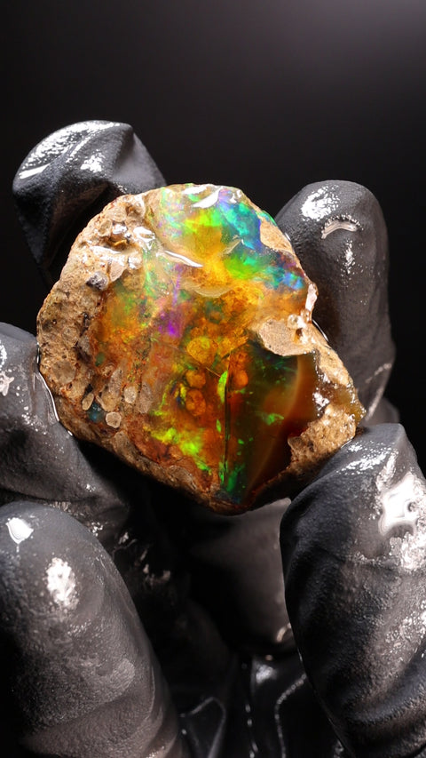 12.95g Rough Specimen