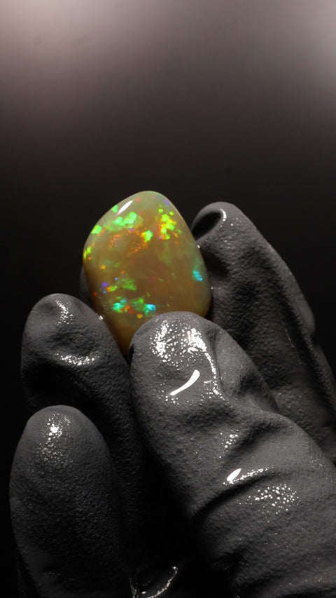 23.20ct Polished Specimen